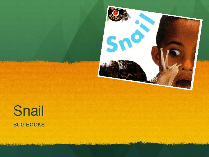 Snail BUG BOOKS 