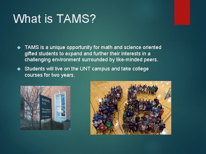 What is TAMS? TAMS is a unique opportunity for math and science oriented gifted