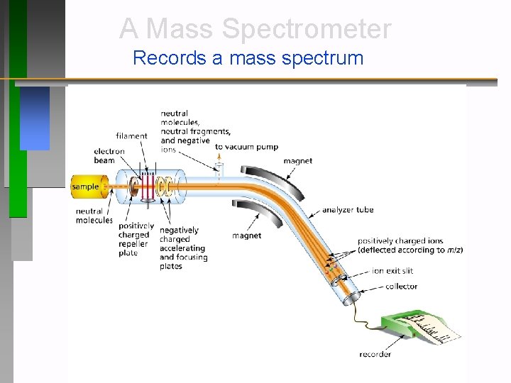 A Mass Spectrometer Records a mass spectrum 