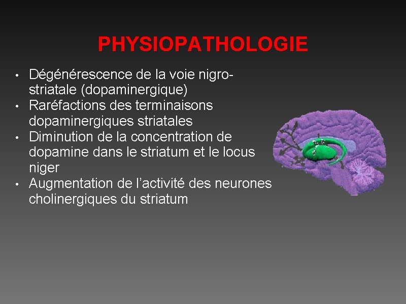 PHYSIOPATHOLOGIE Dégénérescence de la voie nigrostriatale (dopaminergique) • Raréfactions des terminaisons dopaminergiques striatales •