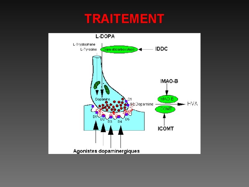 TRAITEMENT 