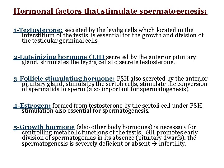 Hormonal factors that stimulate spermatogenesis: 1 -Testosterone: secreted by the leydig cells which located