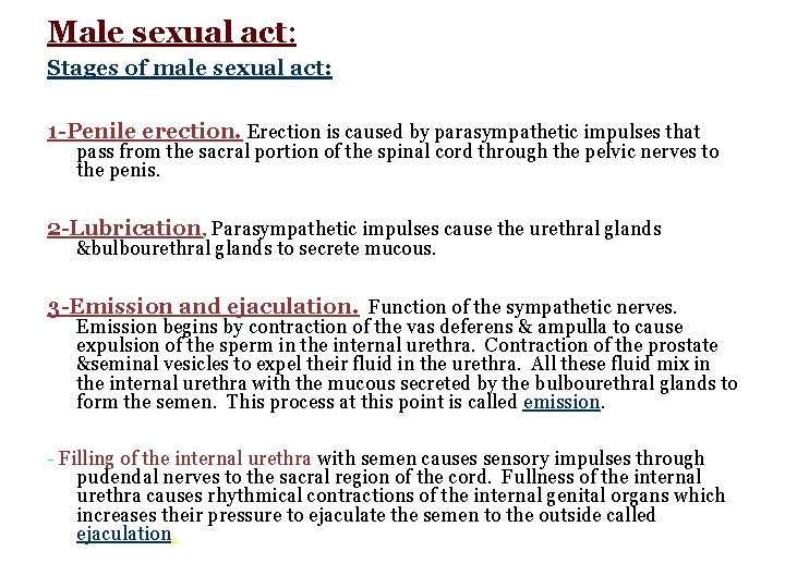 Male sexual act: Stages of male sexual act: 1 -Penile erection. Erection is caused