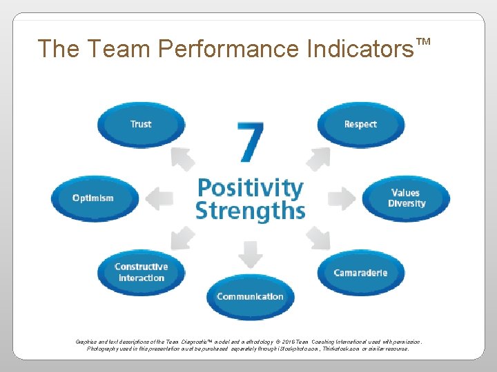 The Team Performance Indicators™ Graphics and text descriptions of the Team Diagnostic™ model and