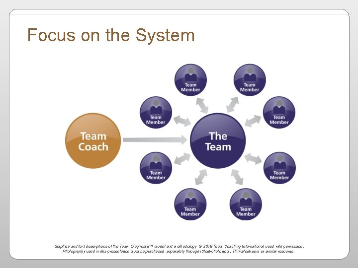 Focus on the System Graphics and text descriptions of the Team Diagnostic™ model and