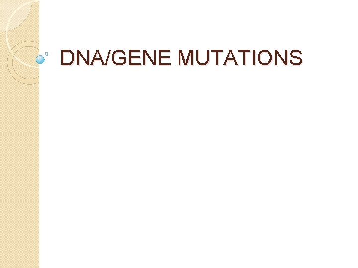 DNA/GENE MUTATIONS 