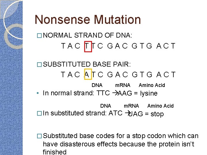 Nonsense Mutation � NORMAL STRAND OF DNA: TAC TTC GAC GTG ACT � SUBSTITUTED