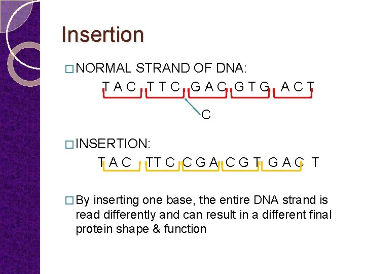 Insertion � NORMAL STRAND OF DNA: TAC TTC GAC GTG ACT C � INSERTION: