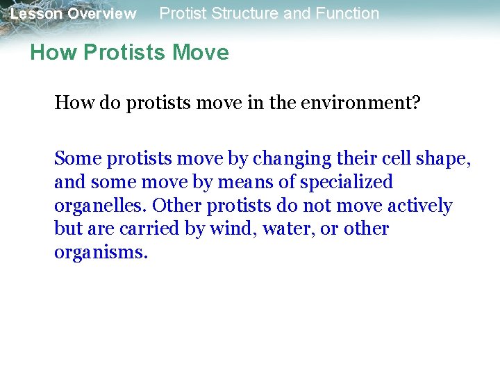 Lesson Overview Protist Structure and Function How Protists Move How do protists move in