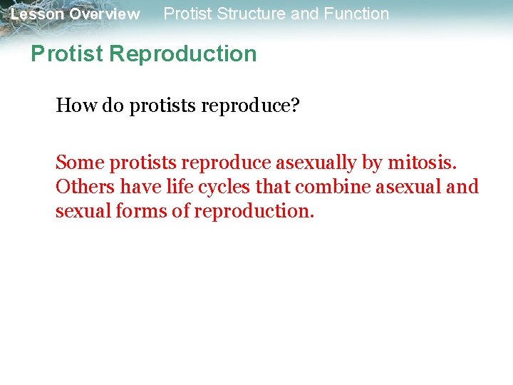 Lesson Overview Protist Structure and Function Protist Reproduction How do protists reproduce? Some protists