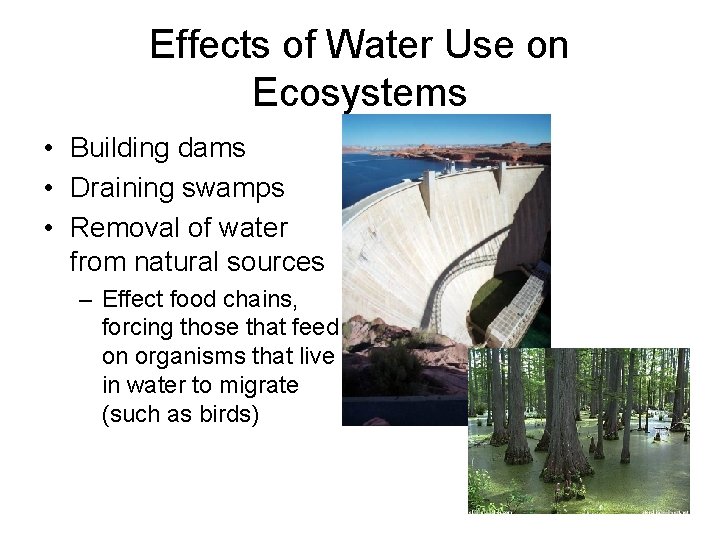 Effects of Water Use on Ecosystems • Building dams • Draining swamps • Removal