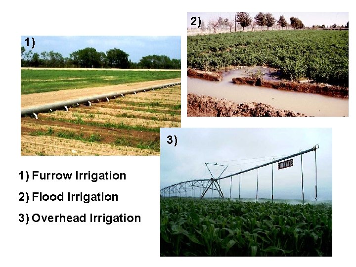 2) 1) 3) 1) Furrow Irrigation 2) Flood Irrigation 3) Overhead Irrigation 