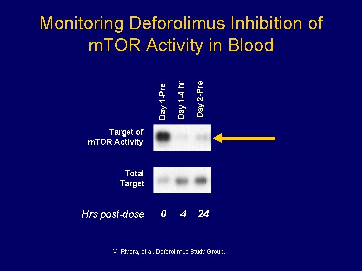 Day 1 -4 hr 0 4 Day 2 -Pre Day 1 -Pre Monitoring Deforolimus