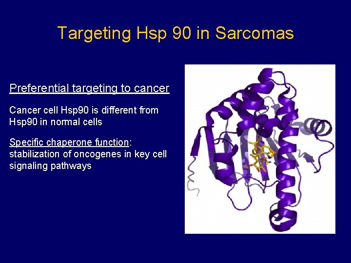 Targeting Hsp 90 in Sarcomas Preferential targeting to cancer Cancer cell Hsp 90 is