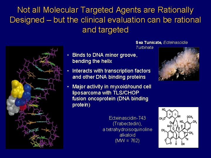 Not all Molecular Targeted Agents are Rationally Designed – but the clinical evaluation can