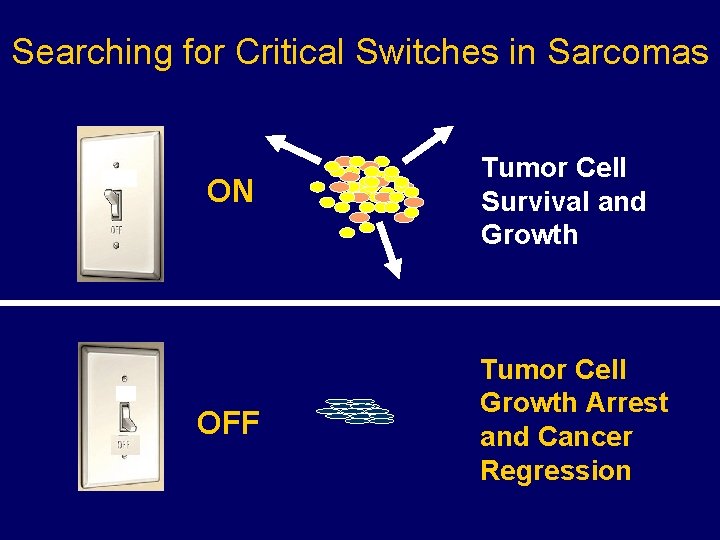 Searching for Critical Switches in Sarcomas ON OFF Tumor Cell Survival and Growth Tumor