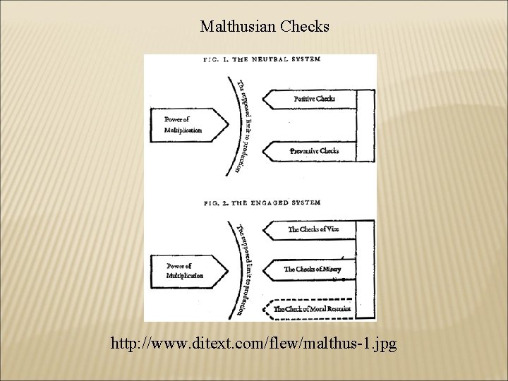 Malthusian Checks http: //www. ditext. com/flew/malthus-1. jpg 