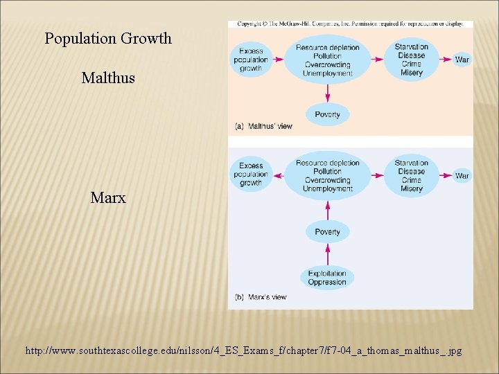 Population Growth Malthus Marx http: //www. southtexascollege. edu/nilsson/4_ES_Exams_f/chapter 7/f 7 -04_a_thomas_malthus_. jpg 