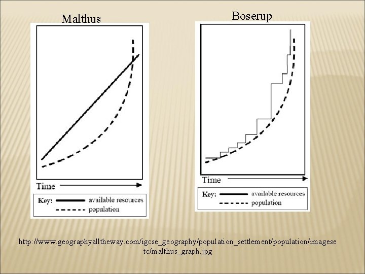 Malthus Boserup http: //www. geographyalltheway. com/igcse_geography/population_settlement/population/imagese tc/malthus_graph. jpg 