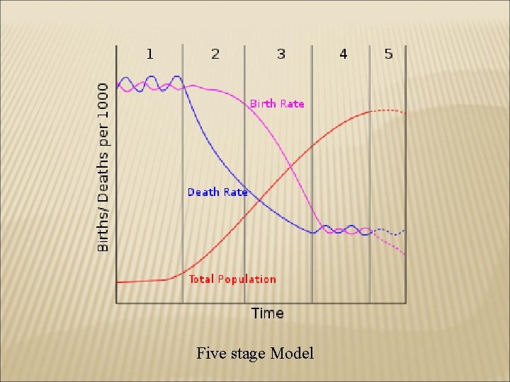 Five stage Model 