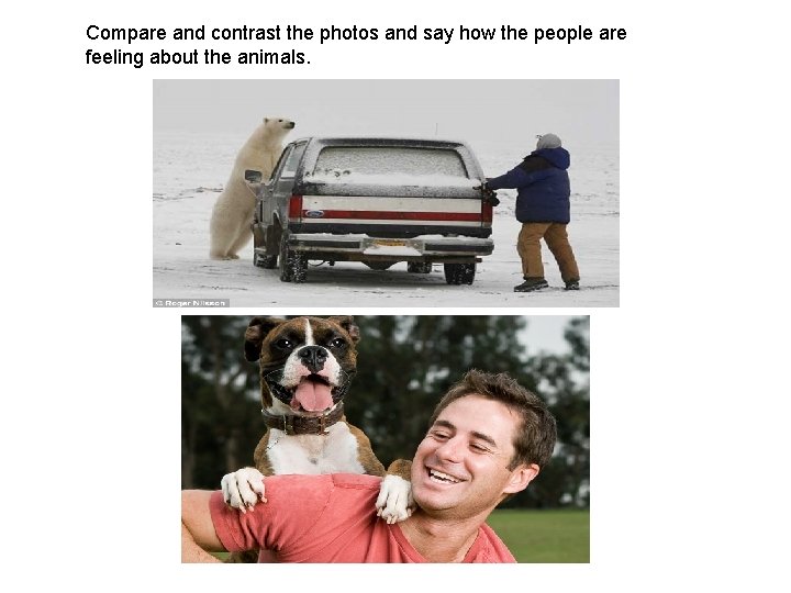Compare and contrast the photos and say how the people are feeling about the Compare and contrast the photos and say how the people are feeling about the
