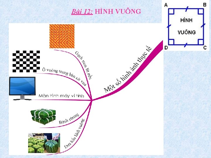 Bài 12: HÌNH VUÔNG 