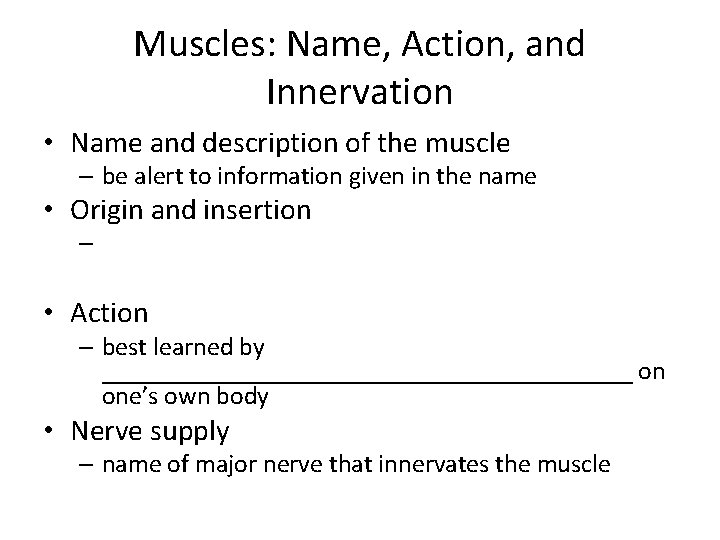 Muscles: Name, Action, and Innervation • Name and description of the muscle – be