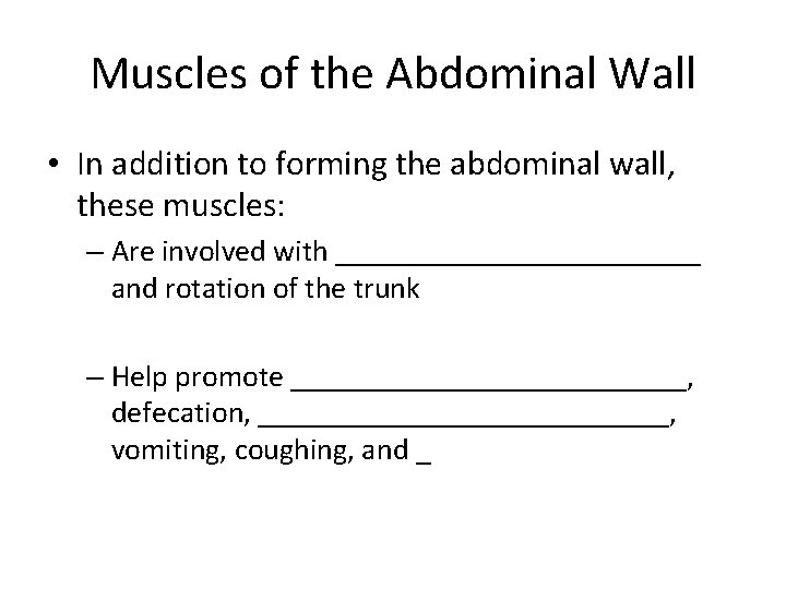 Muscles of the Abdominal Wall • In addition to forming the abdominal wall, these
