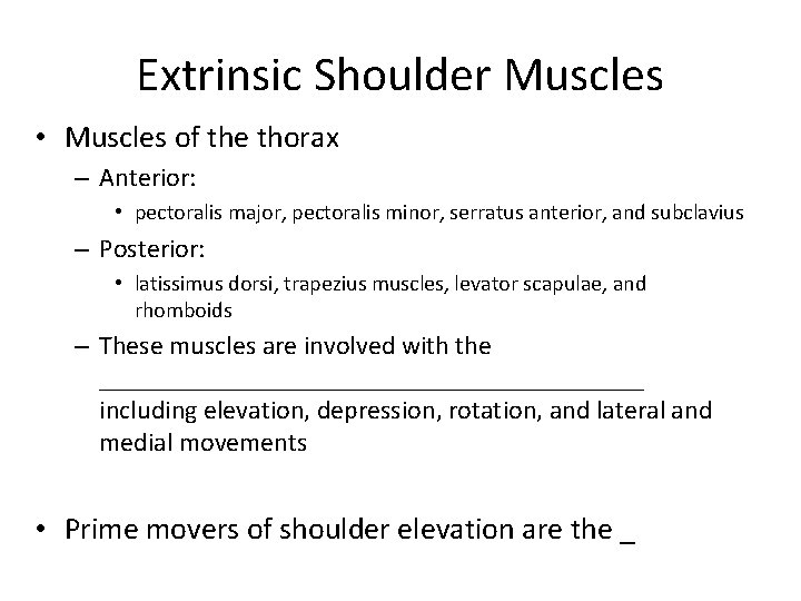 Extrinsic Shoulder Muscles • Muscles of the thorax – Anterior: • pectoralis major, pectoralis