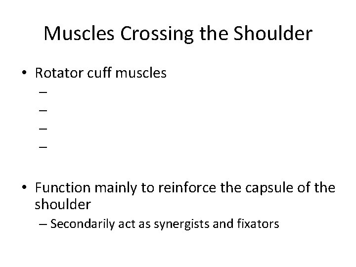 Muscles Crossing the Shoulder • Rotator cuff muscles – – • Function mainly to