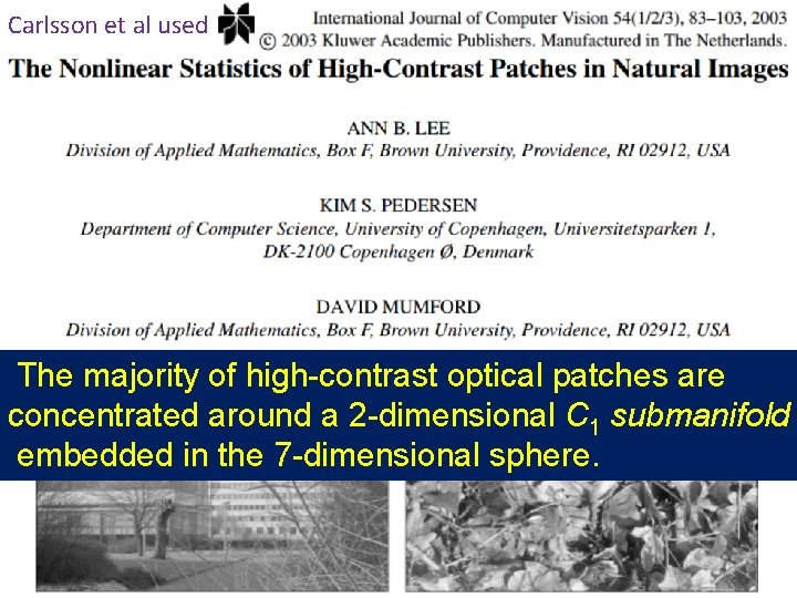 Carlsson et al used The majority of high-contrast optical patches are concentrated around a