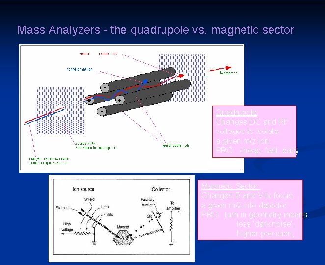 Mass Analyzers - the quadrupole vs. magnetic sector Quadrupole: Changes DC and RF voltages