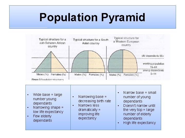 Population Pyramid • • • Wide base = large number young dependants Narrowing shape
