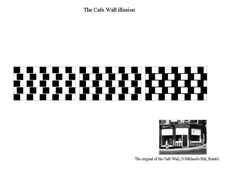 The Cafe Wall illusion The original of the Café Wall, St Michael's Hill, Bristol.