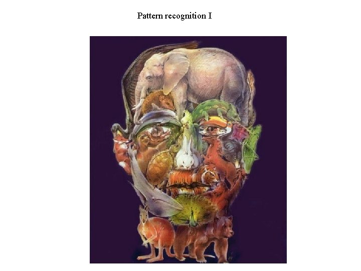 Pattern recognition I 