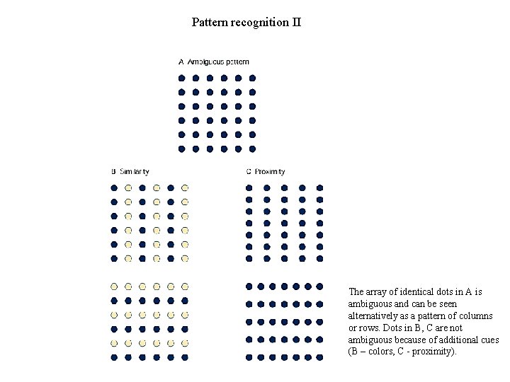 Pattern recognition II The array of identical dots in A is ambiguous and can