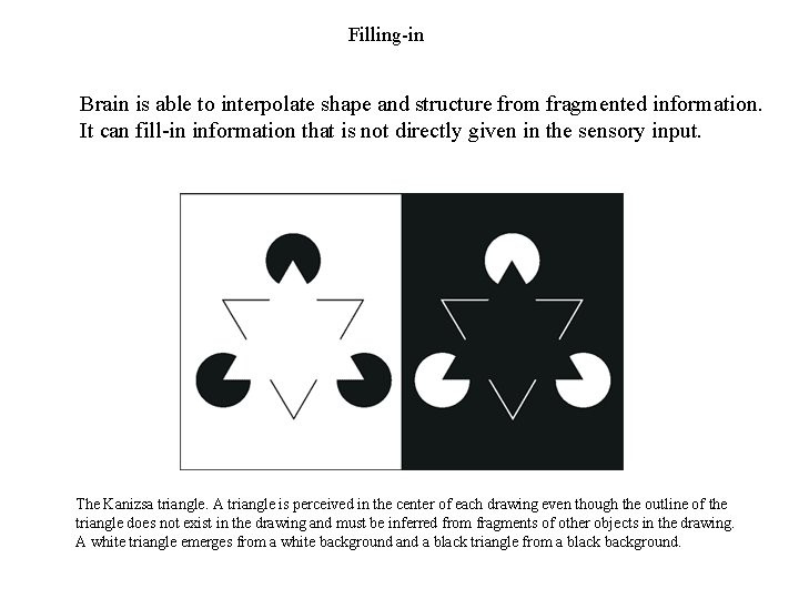 Filling-in Brain is able to interpolate shape and structure from fragmented information. It can