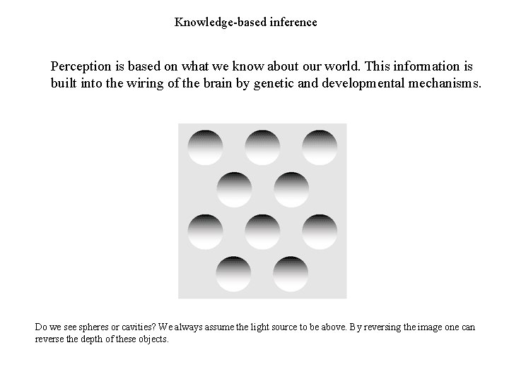 Knowledge-based inference Perception is based on what we know about our world. This information