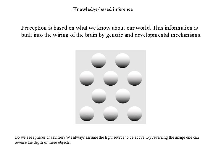 Knowledge-based inference Perception is based on what we know about our world. This information
