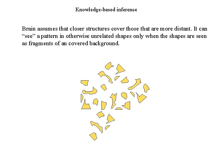 Knowledge-based inference Brain assumes that closer structures cover those that are more distant. It