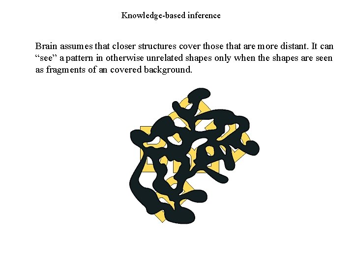 Knowledge-based inference Brain assumes that closer structures cover those that are more distant. It