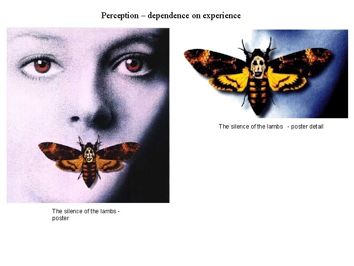 Perception – dependence on experience The silence of the lambs - poster detail The