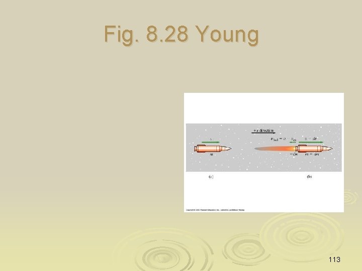 Fig. 8. 28 Young 113 