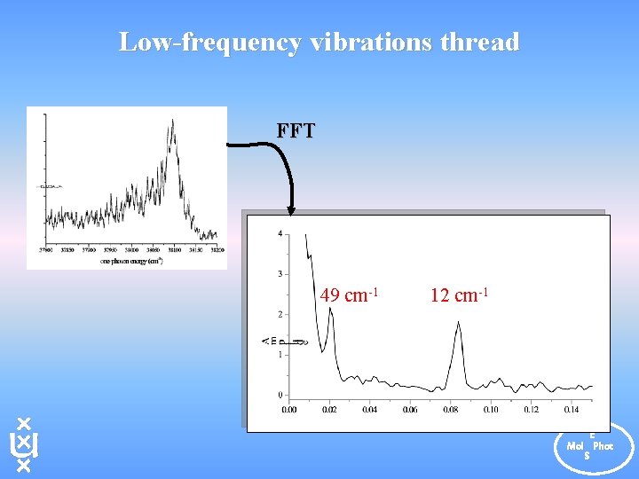 Low-frequency vibrations thread FFT 49 cm-1 12 cm-1 E Mol Phot S 