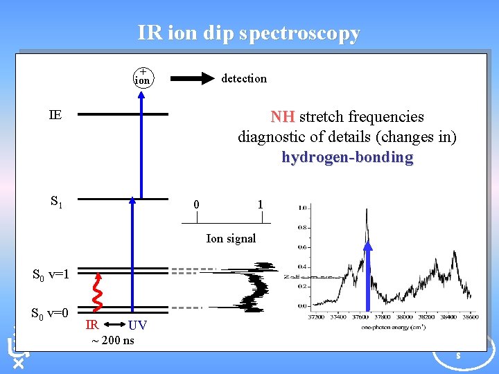 IR ion dip spectroscopy + detection IE NH stretch frequencies diagnostic of details (changes