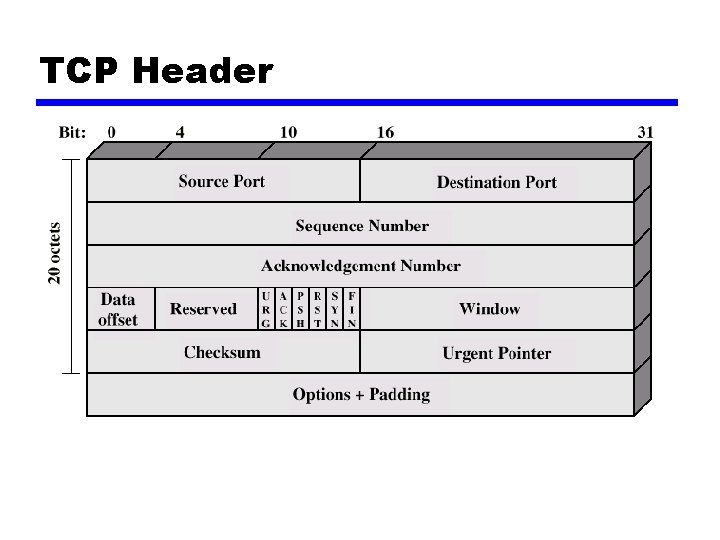 TCP Header 