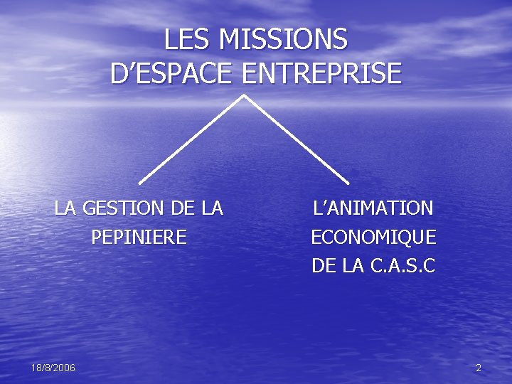 LES MISSIONS D’ESPACE ENTREPRISE LA GESTION DE LA PEPINIERE 18/8/2006 L’ANIMATION ECONOMIQUE DE LA