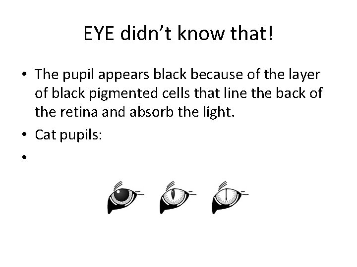 EYE didn’t know that! • The pupil appears black because of the layer of