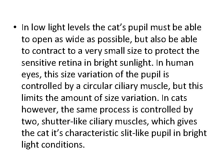  • In low light levels the cat’s pupil must be able to open