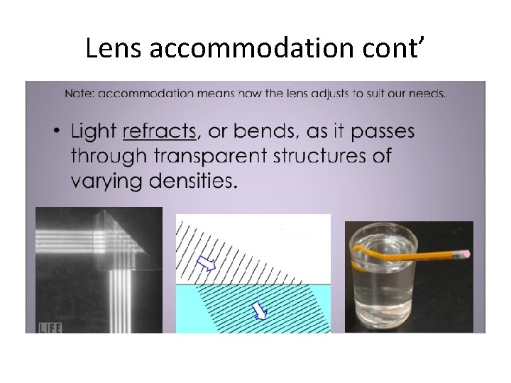 Lens accommodation cont’ 